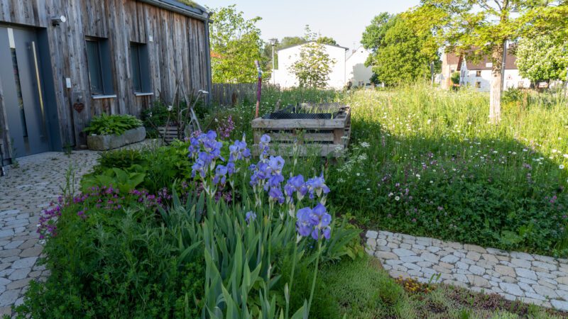 Das Gartenlabor Mai 2023 Petra Reidel 04