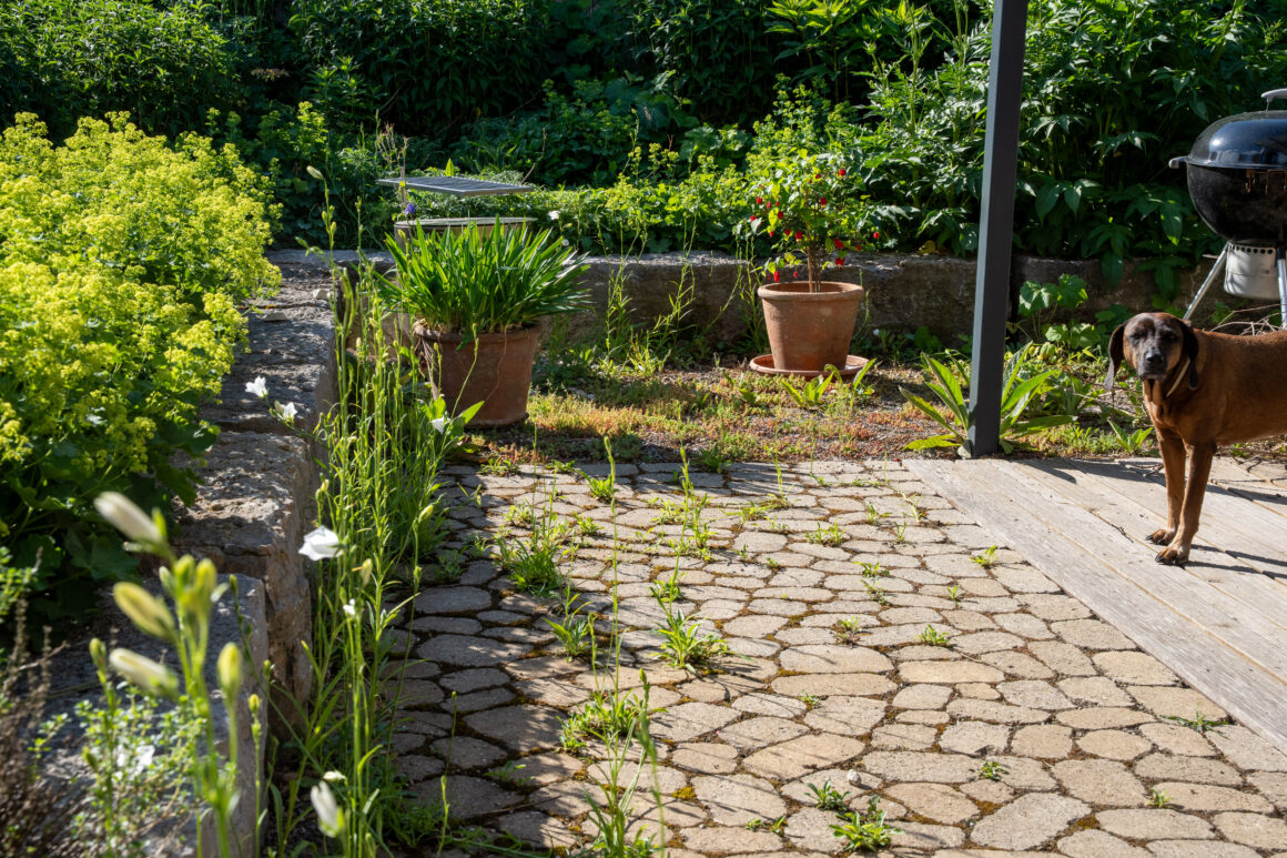 Das gartenlabor 2026 Petra Reidel